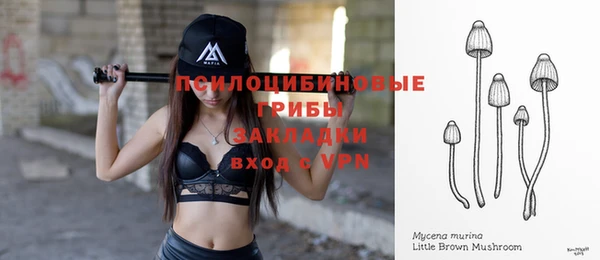 каннабис Богородицк