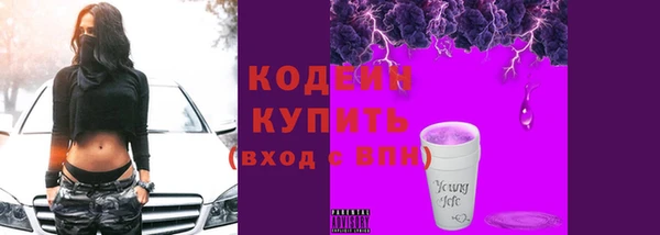 дмт Богданович