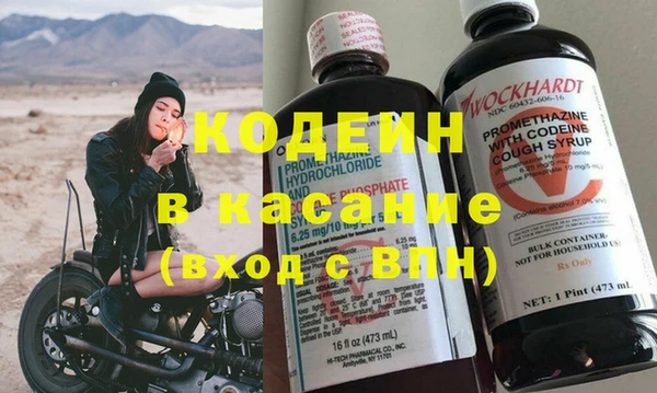 дмт Богданович