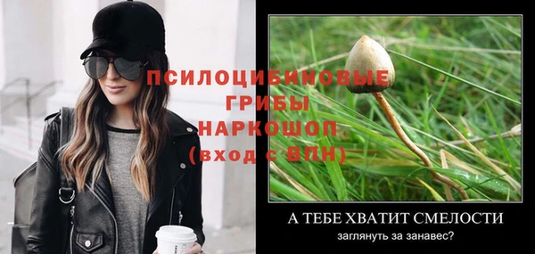 каннабис Богородицк