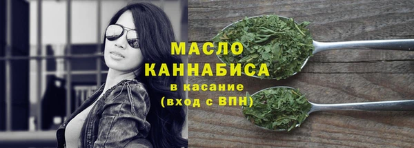 дмт Богданович