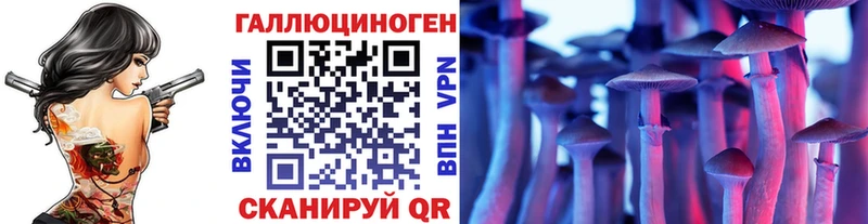 Галлюциногенные грибы Psilocybine cubensis  Гай 